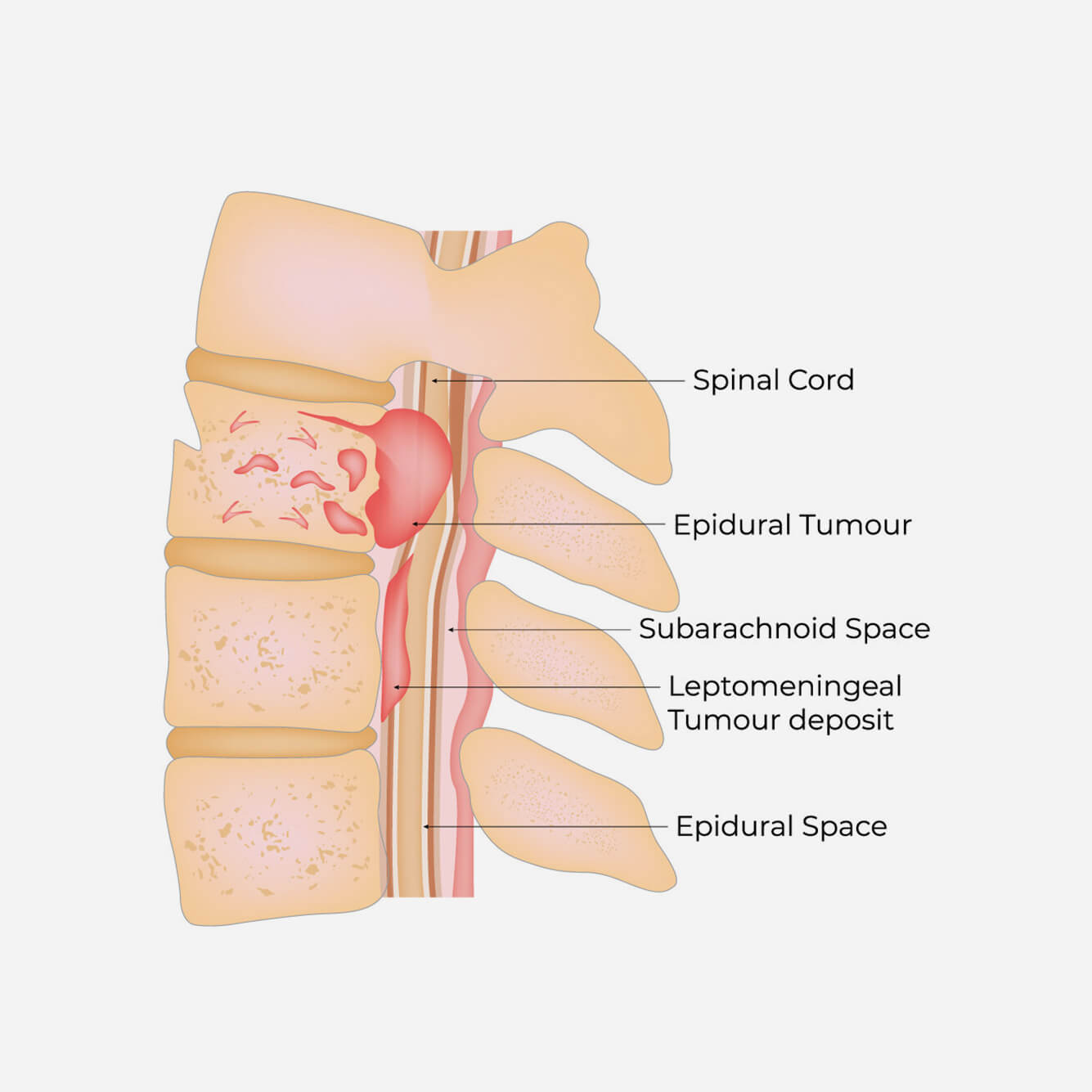 Orthopedic Doctor in Ahmedabad Orthopedic Doctor in Ahmedabad