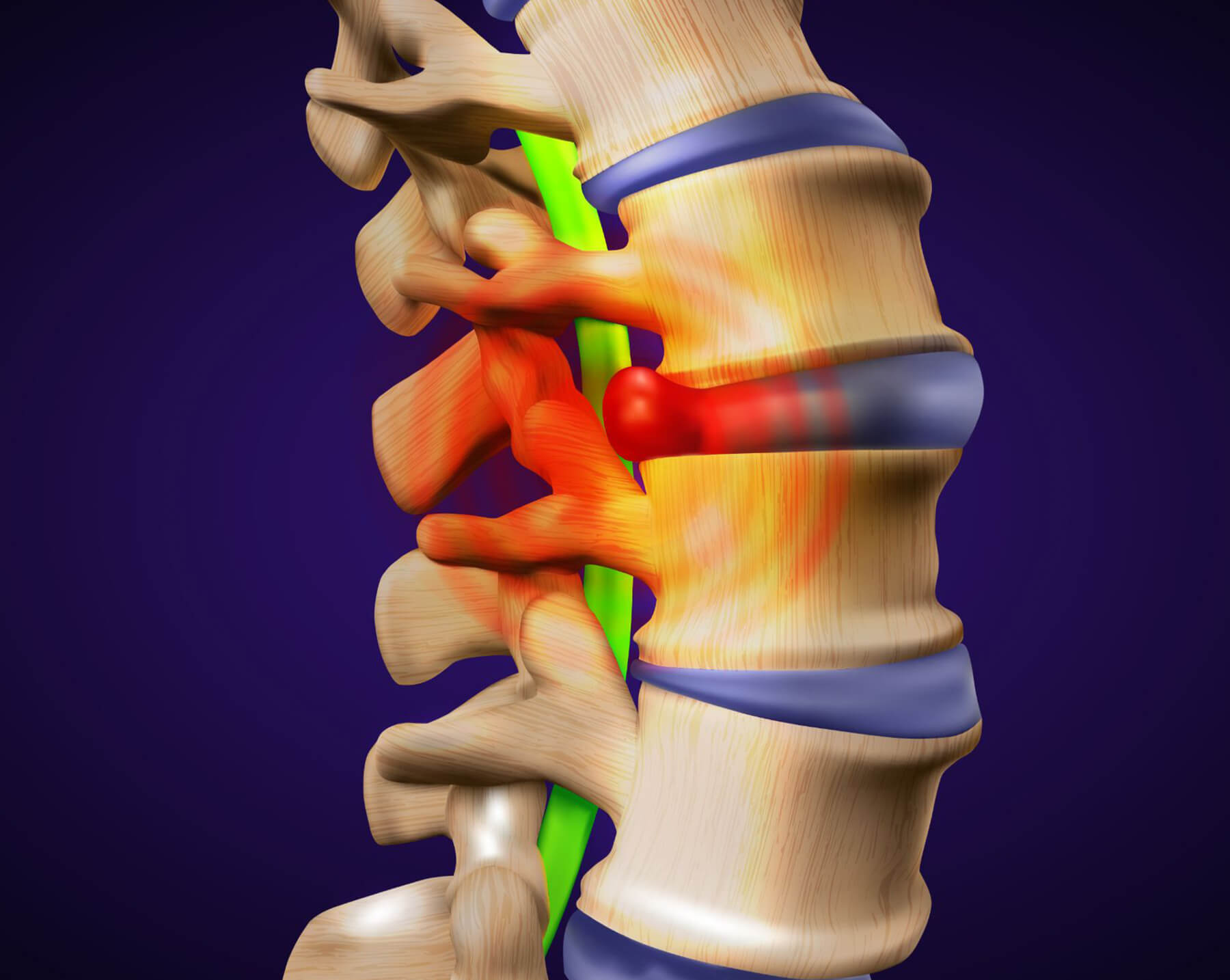 Orthopedic Doctor in Ahmedabad Orthopedic Doctor in Ahmedabad