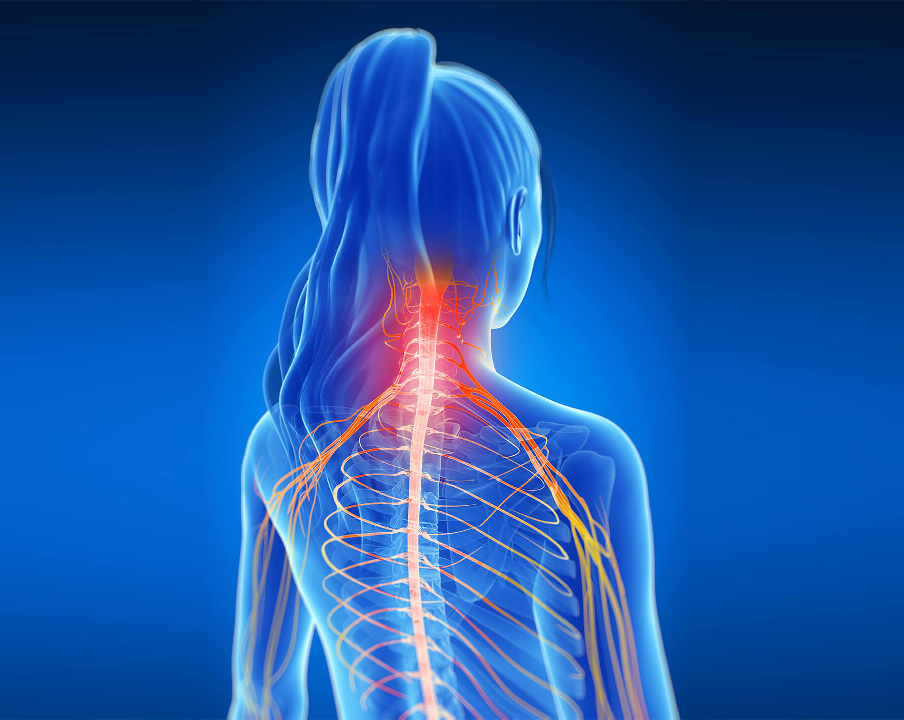 Orthopedic Doctor in Ahmedabad Orthopedic Doctor in Ahmedabad
