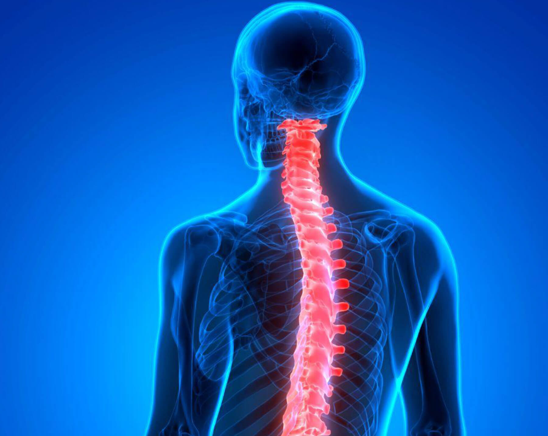 Orthopedic Doctor in Ahmedabad Orthopedic Doctor in Ahmedabad