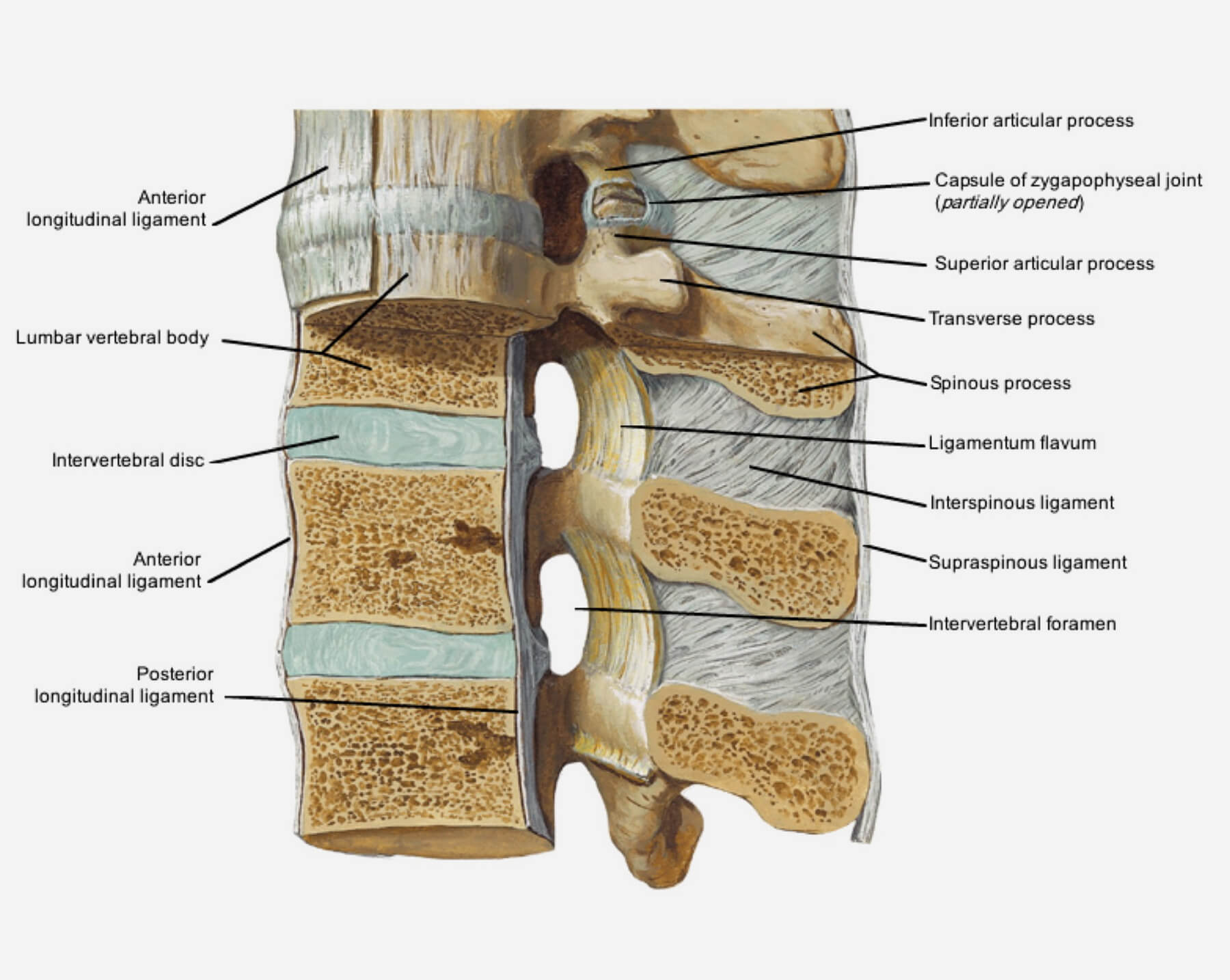 Orthopedic Doctor in Ahmedabad Orthopedic Doctor in Ahmedabad