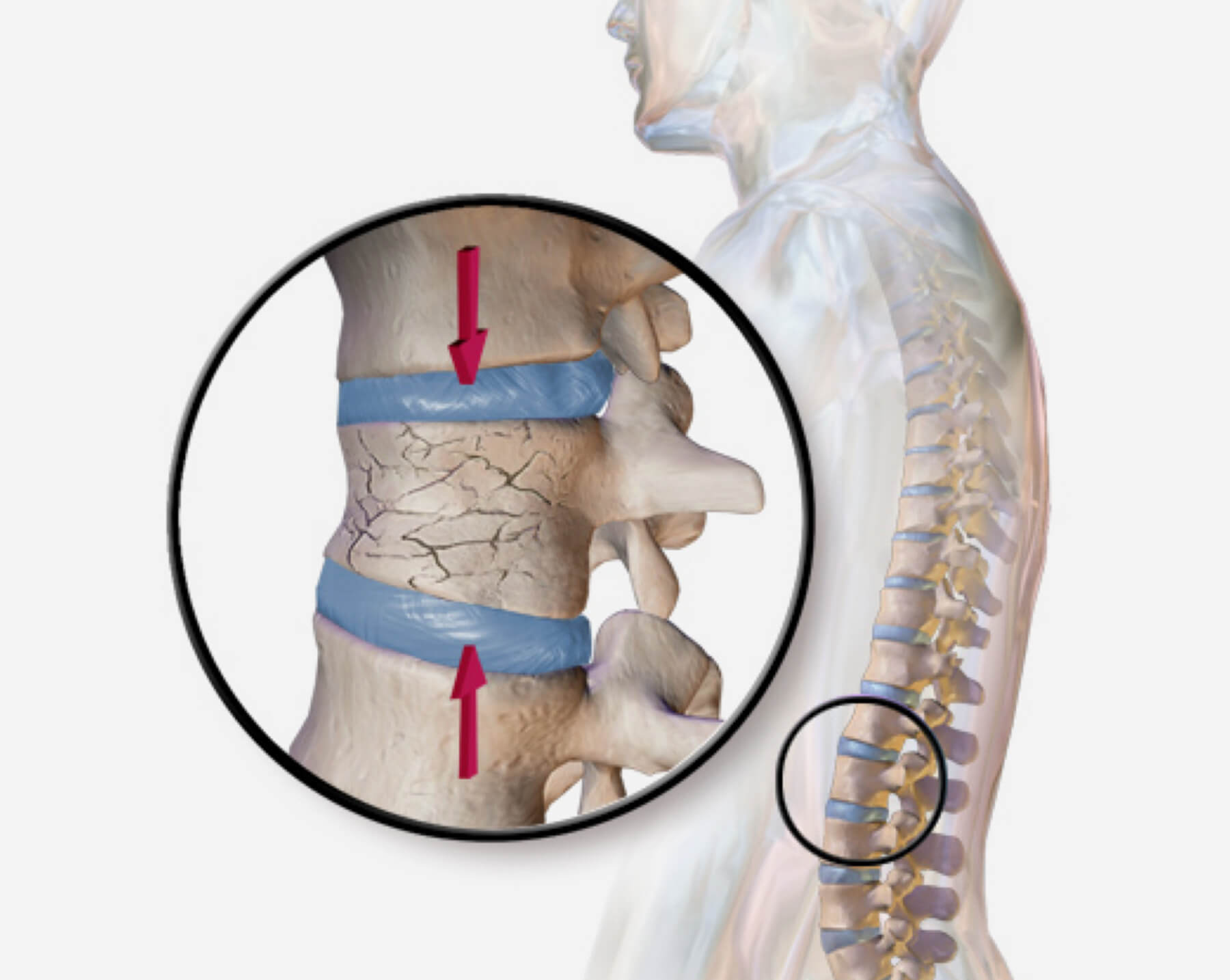 Orthopedic Doctor in Ahmedabad Orthopedic Doctor in Ahmedabad