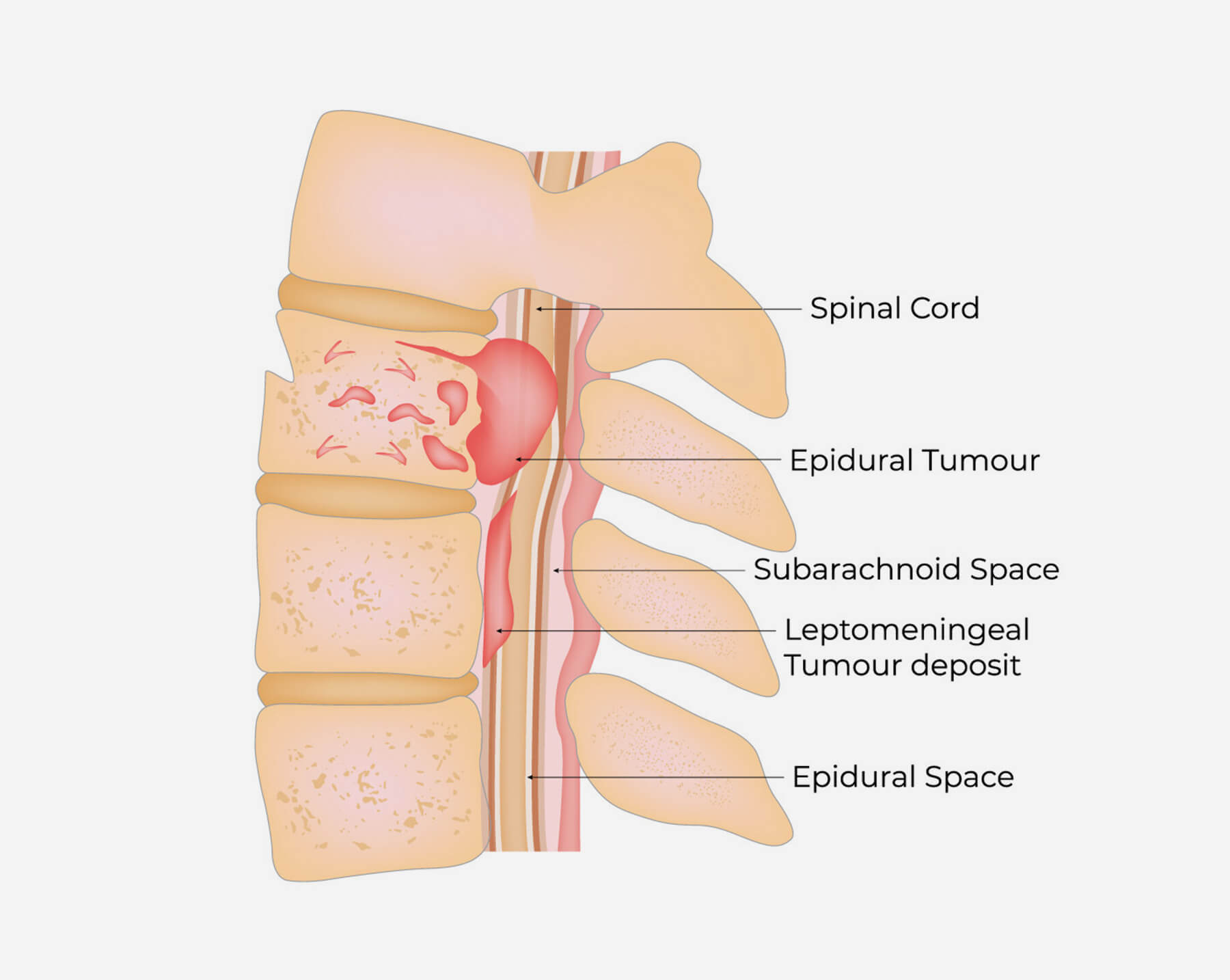 Orthopedic Doctor in Ahmedabad Orthopedic Doctor in Ahmedabad